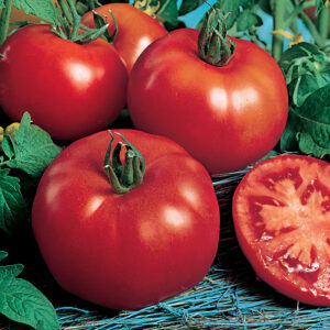Tomato Rutgers (2 lb.)