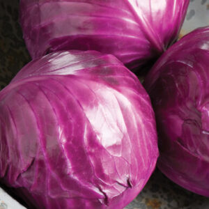 Cabbage Ruby Perfection