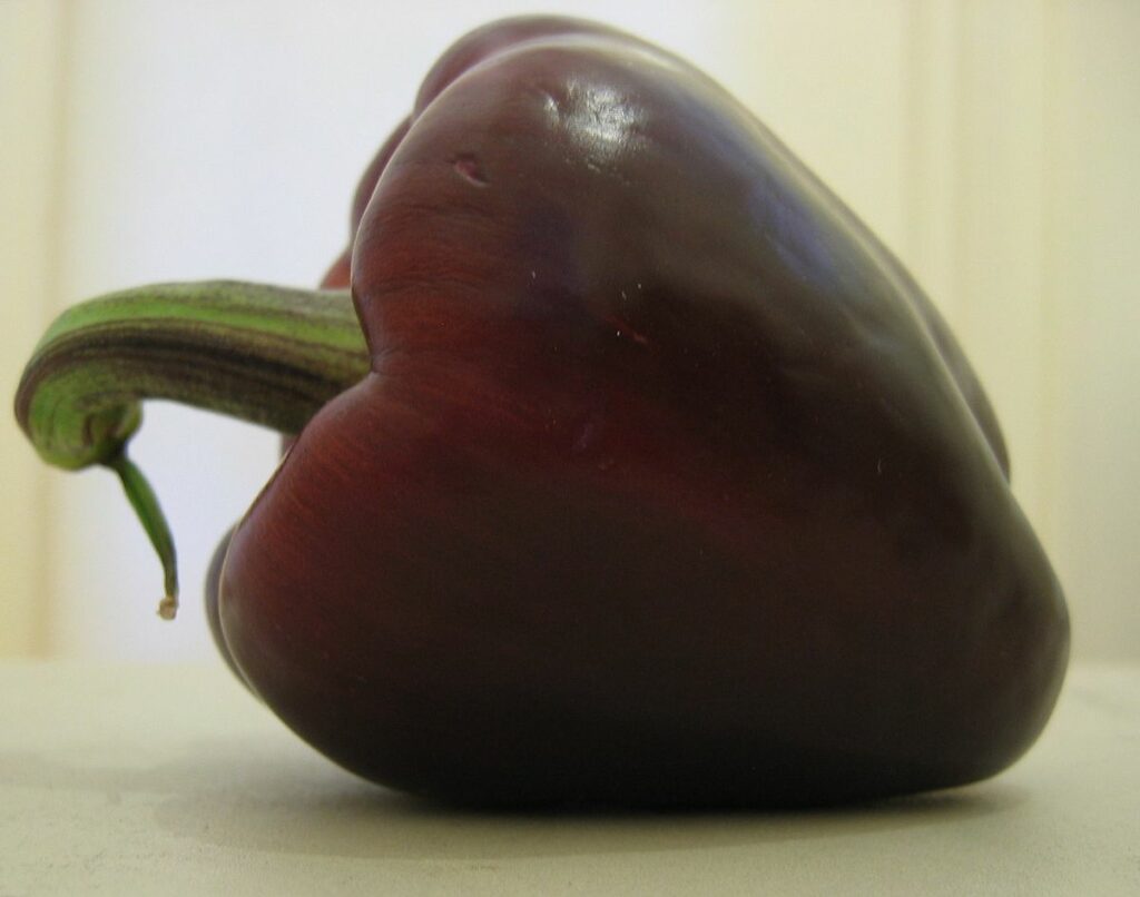 Pepper Purple Bell (Sweet)