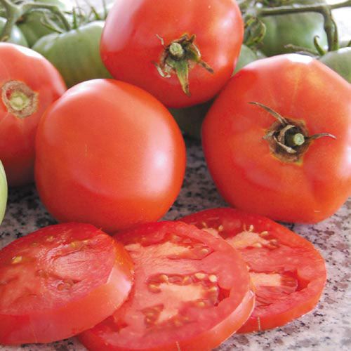 Tomato Brandywine Red (1/2 lb.)
