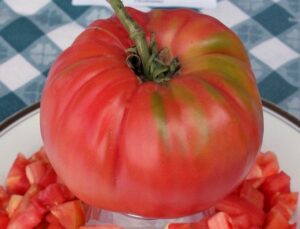 Tomato Mortgage Lifter (1-2 lb.)