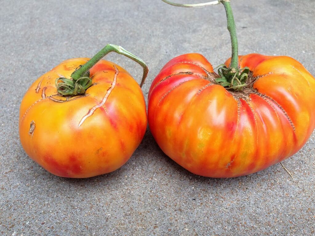 Tomato Pineapple (2 lb.)